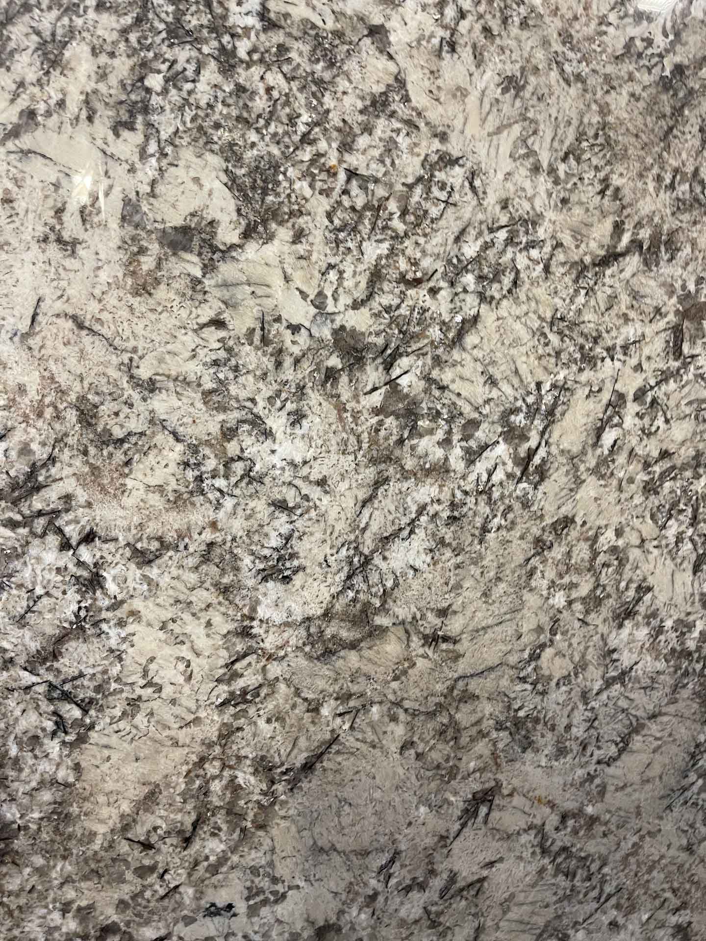 Omicron Silver granite