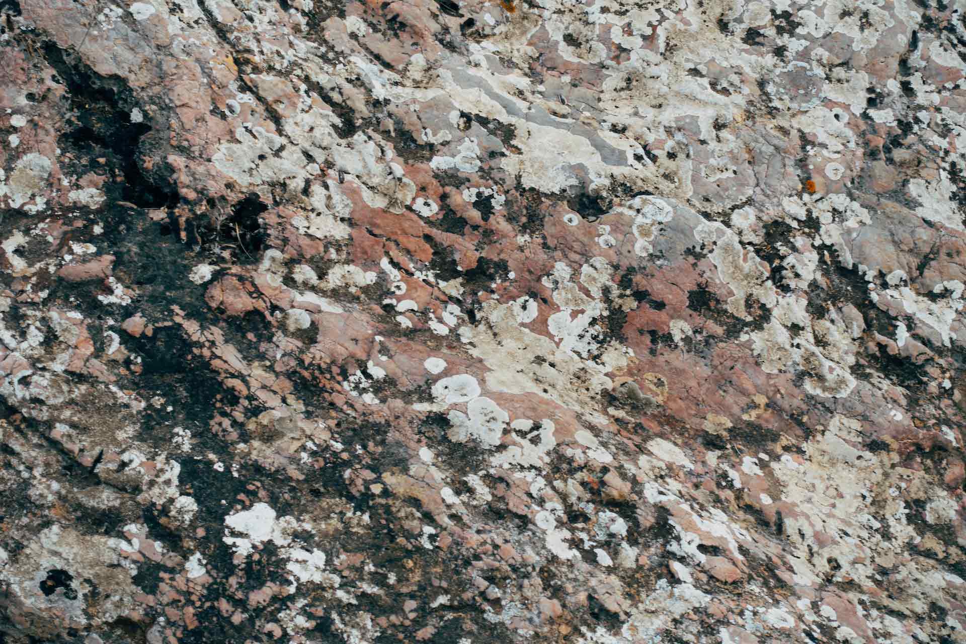 Close-up shot on multicolored granite countertop